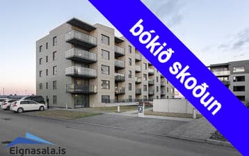 Asparlaut 1, 230 Reykjanesbær