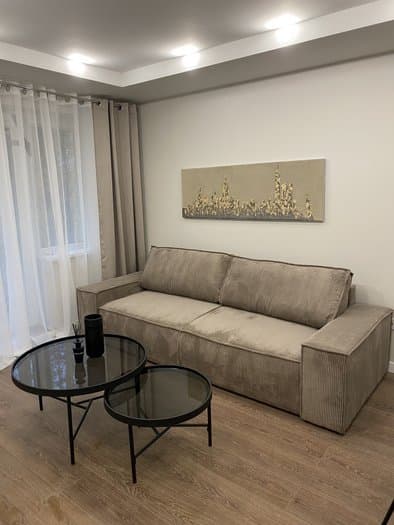 1 rooms, 30.0 m² - Dainava Partizanų g.