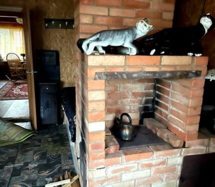 Атмосферная дача в живописном, красивом уголке Белорусской природы. Дом обустроен в белорусском колорите. Можно приготовить невероятно вкусную еду в настоящей печке. Просто поваляться-погреться с книжкой в руках на печке-лежанке :) Провести романтический 
