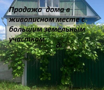 Дом с большим участком в живописном месте, который отлично подойдёт для бизнеса в сфере агротуризма.