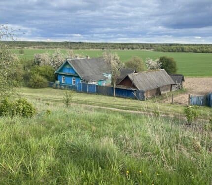 Крепкий бревенчатый дом в отличном внешнем состоянии. Рядом лес (грибы, ягоды) и река Бобр (рыбалка). Бескрайние поля и чистейший воздух — идеальное уединение вдали от города. На участке 6 хозяйственных построек: мастерская, дровяник, летняя кухня и сараи