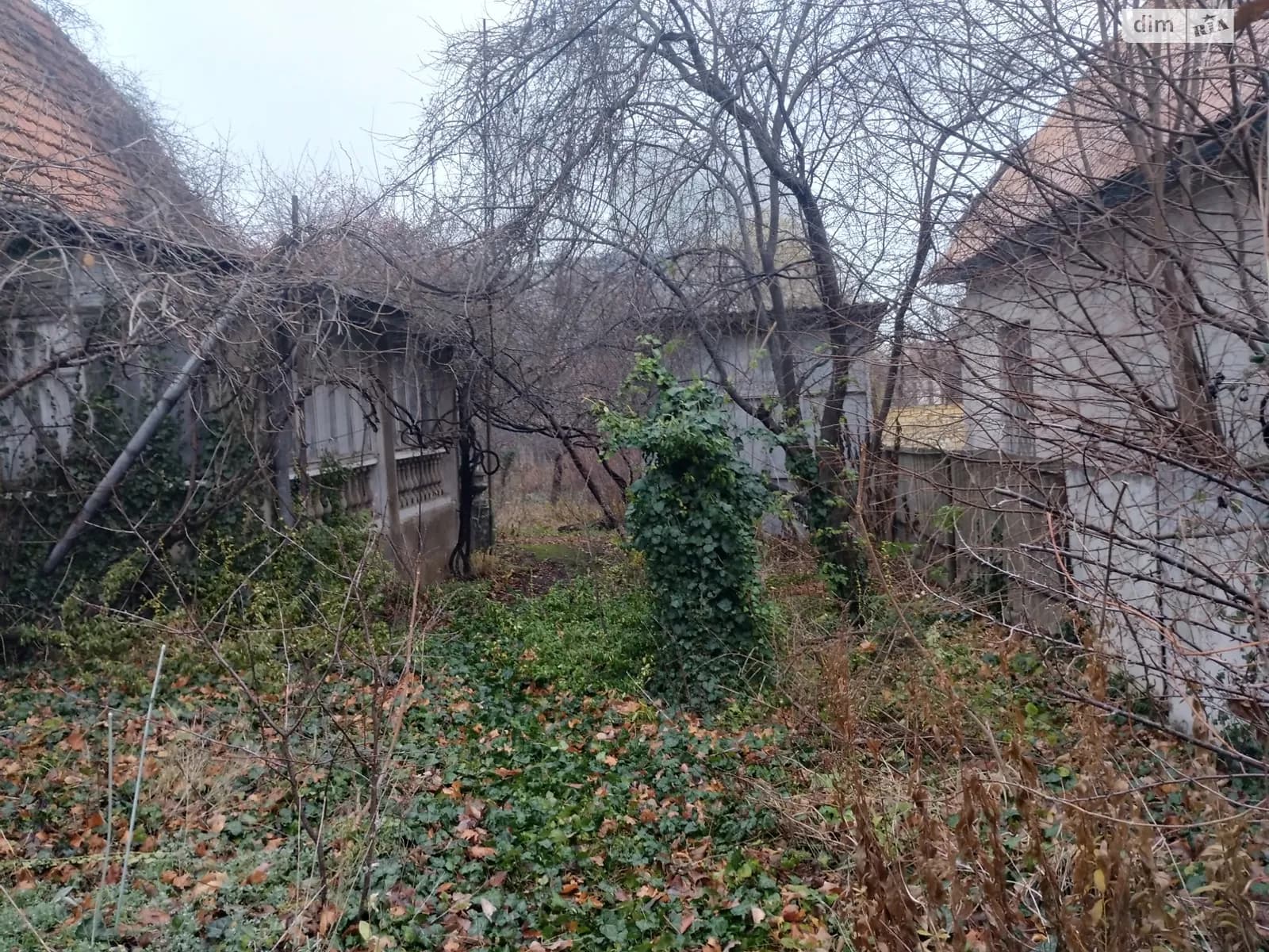 пров. Полуничний