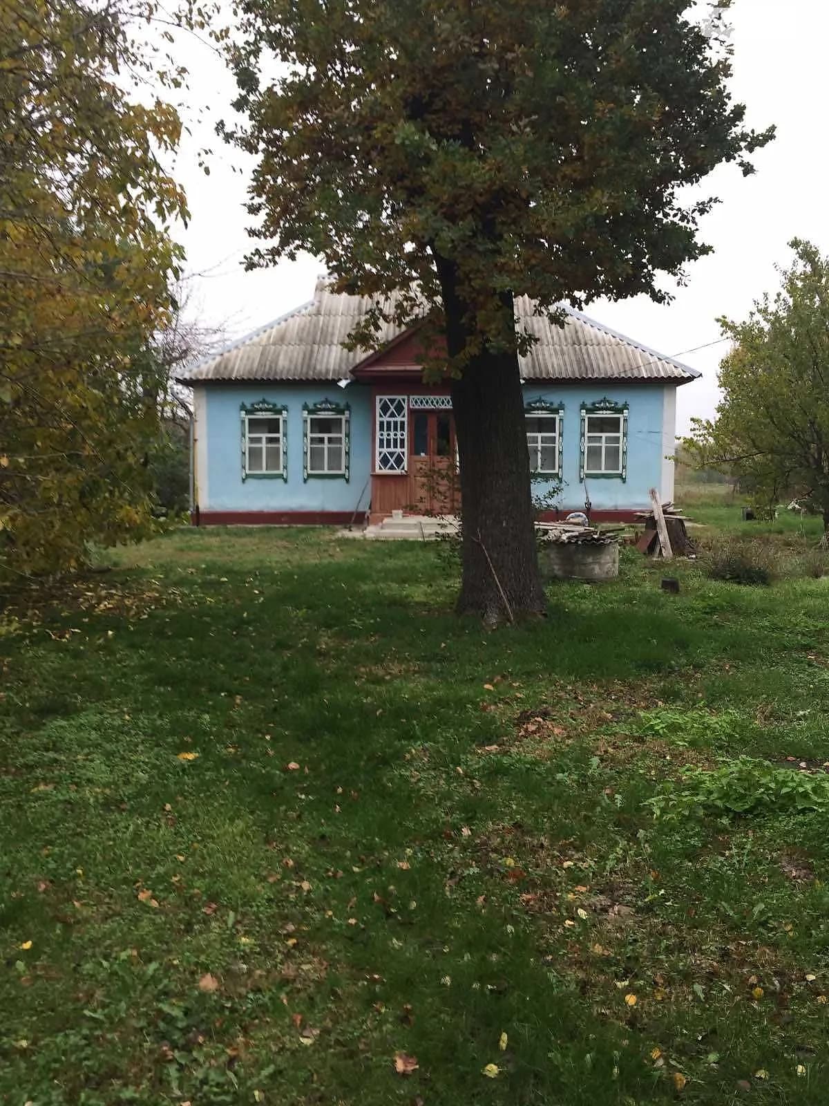 пров. Володимирський