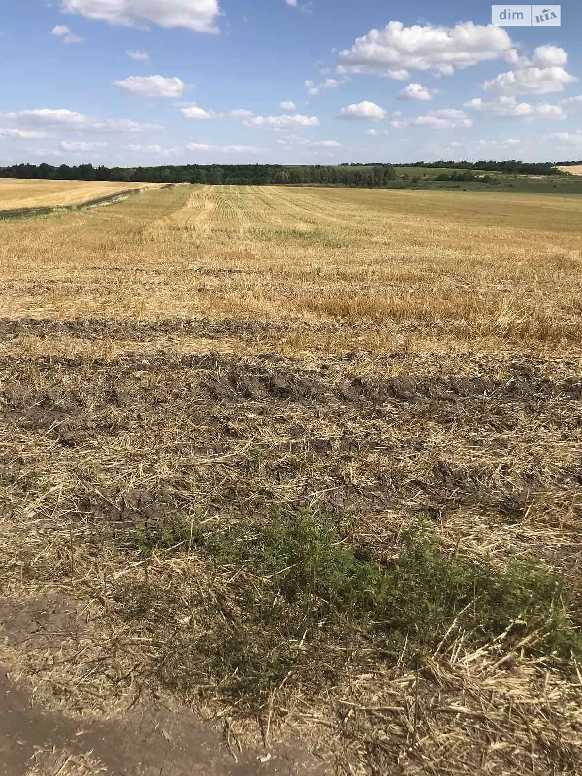 земельна ділянка, 1100.0 м², Apostolove