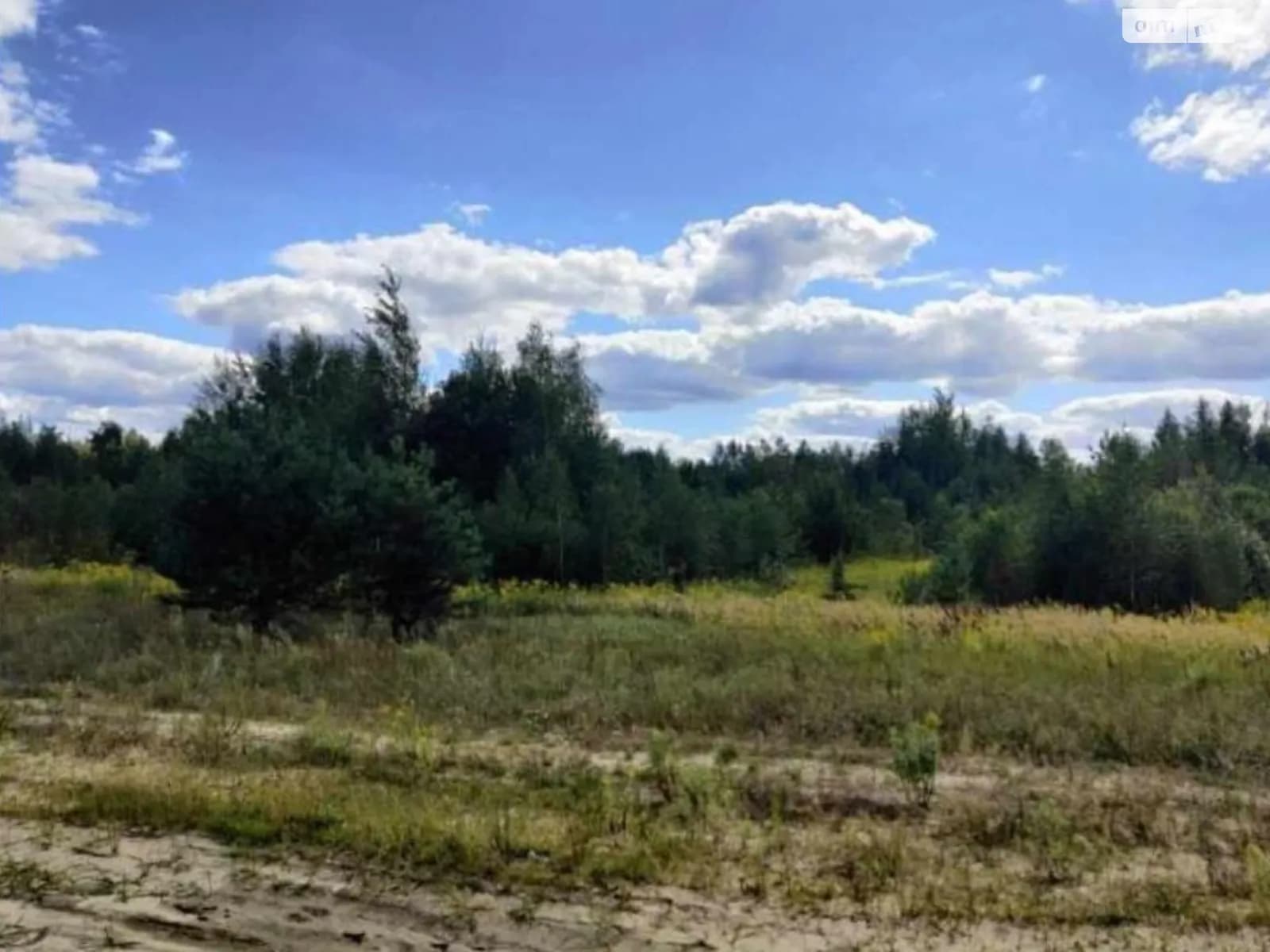 земельна ділянка, 681.0 м², Ovruch