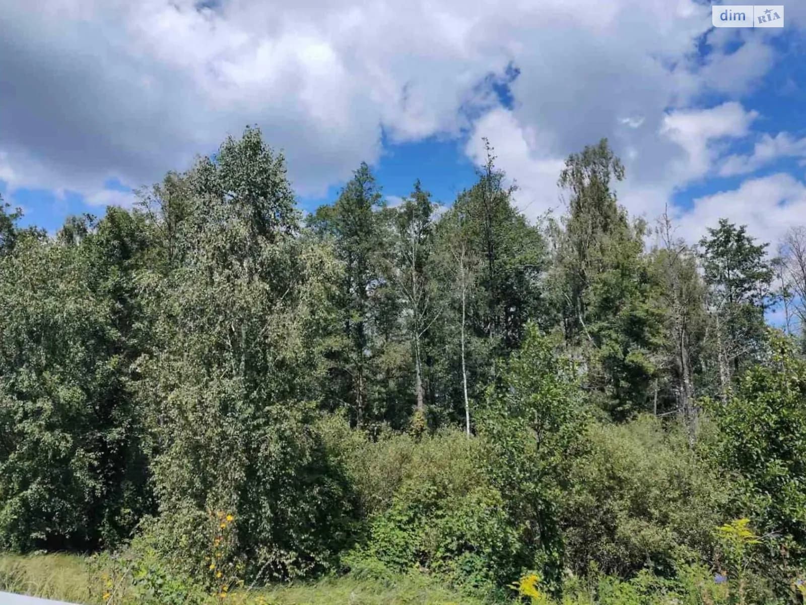 земельна ділянка, 500.0 м², Ovruch