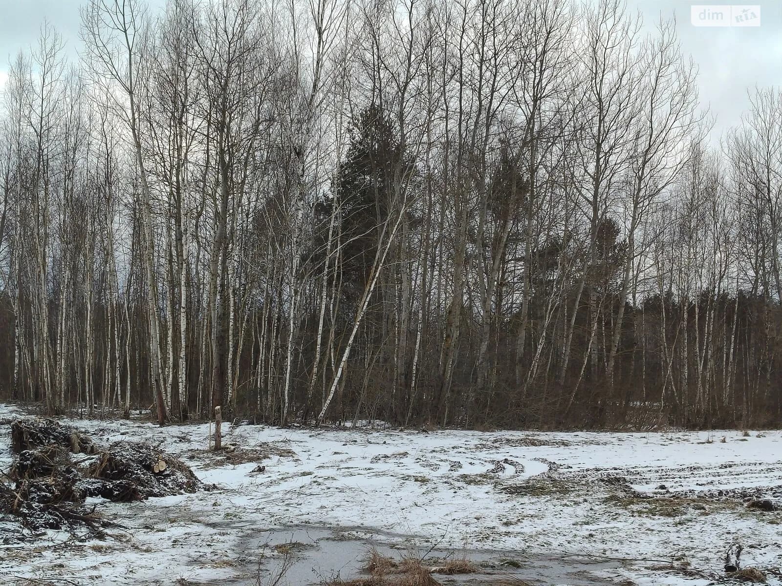 земельна ділянка, 53.2 м², Kovel