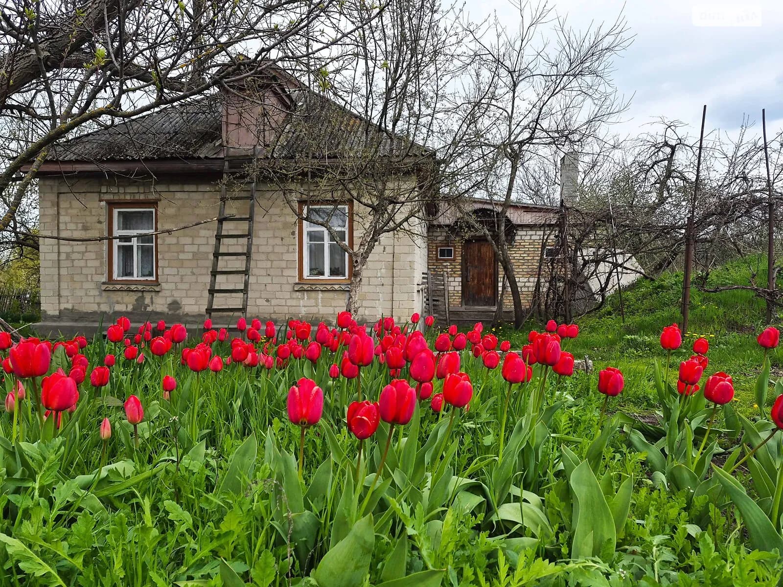 вулиця Кірова