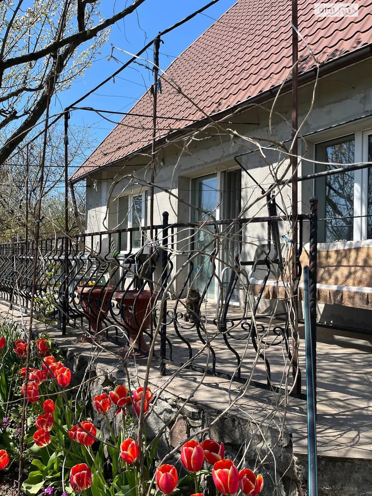 вулиця Володимира Вернадського , 29