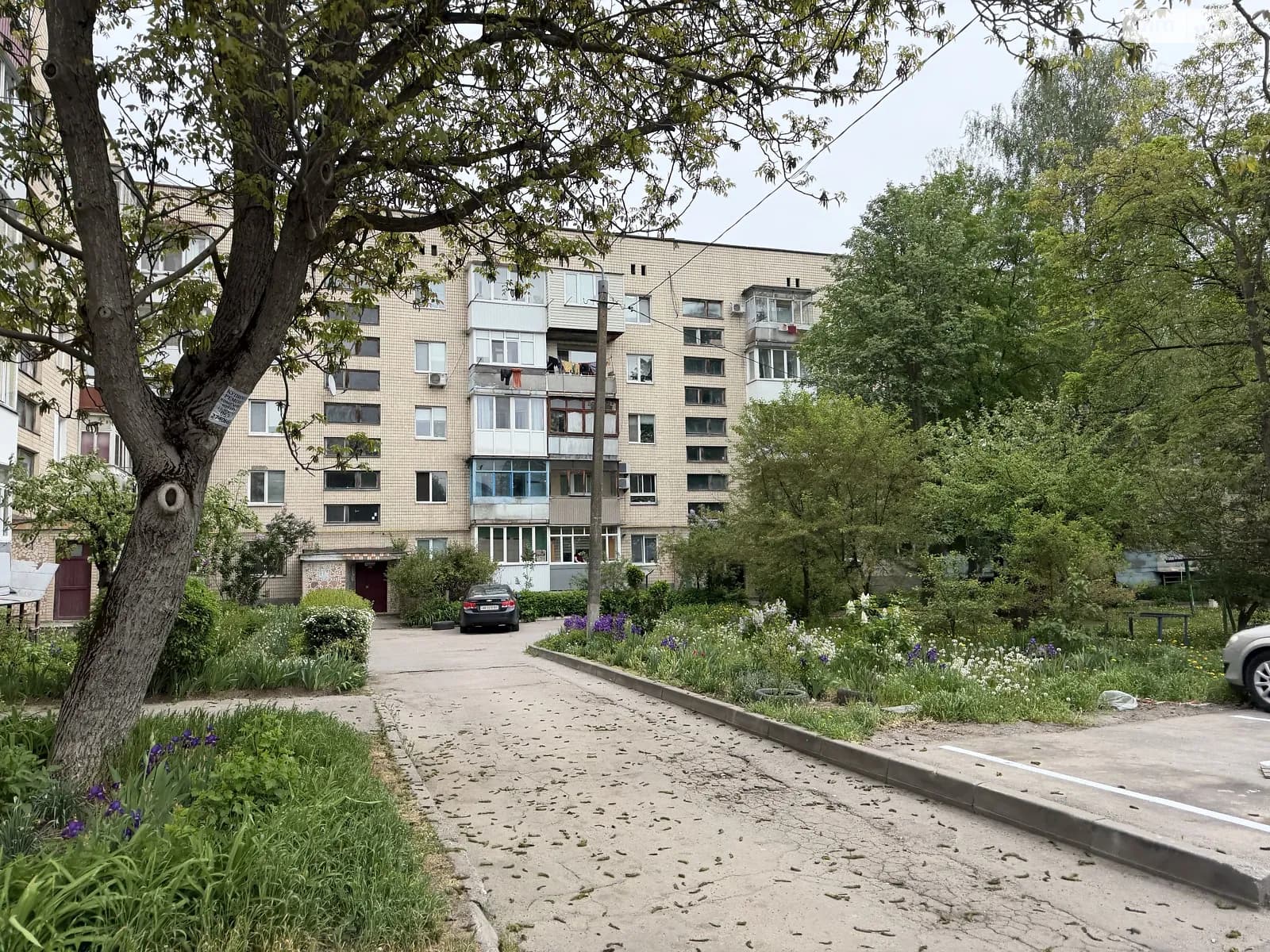 вул. Політехнічна(Воїнів-Інтернаціоналістів), 4