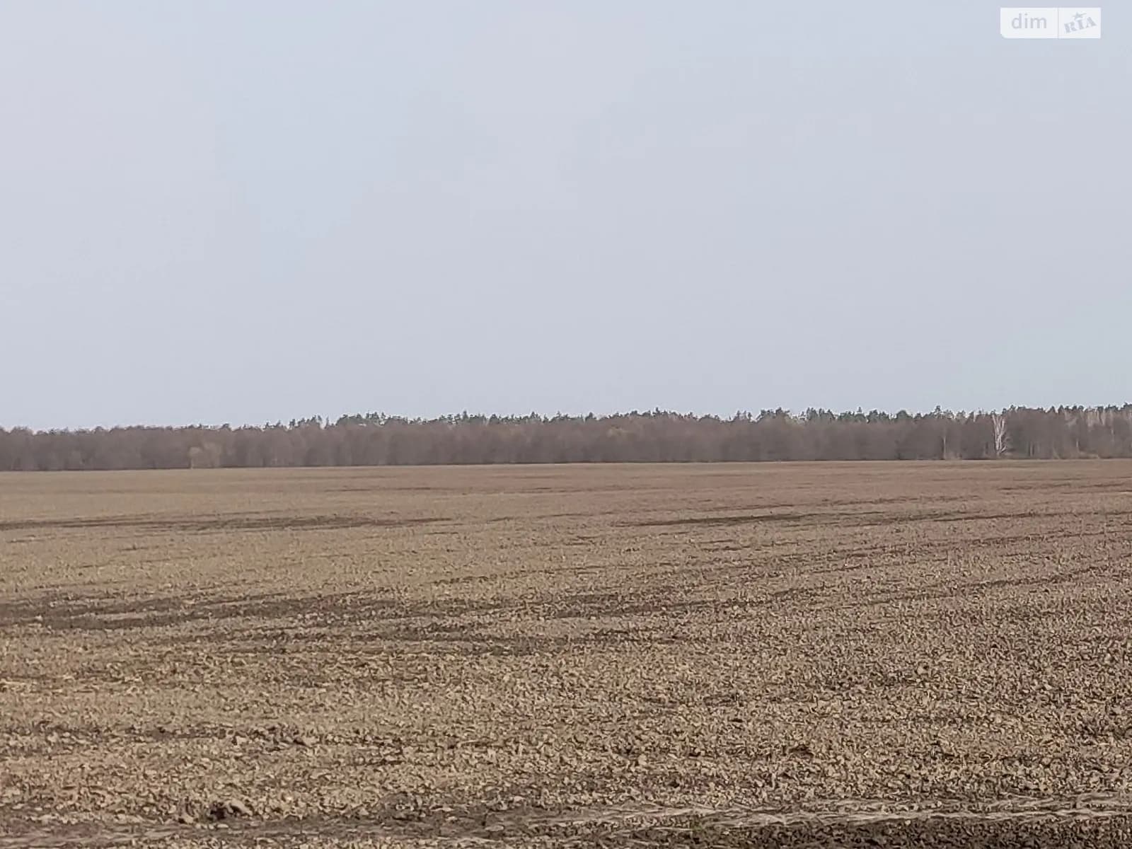 земельна ділянка, 550.0 м², Chernihiv