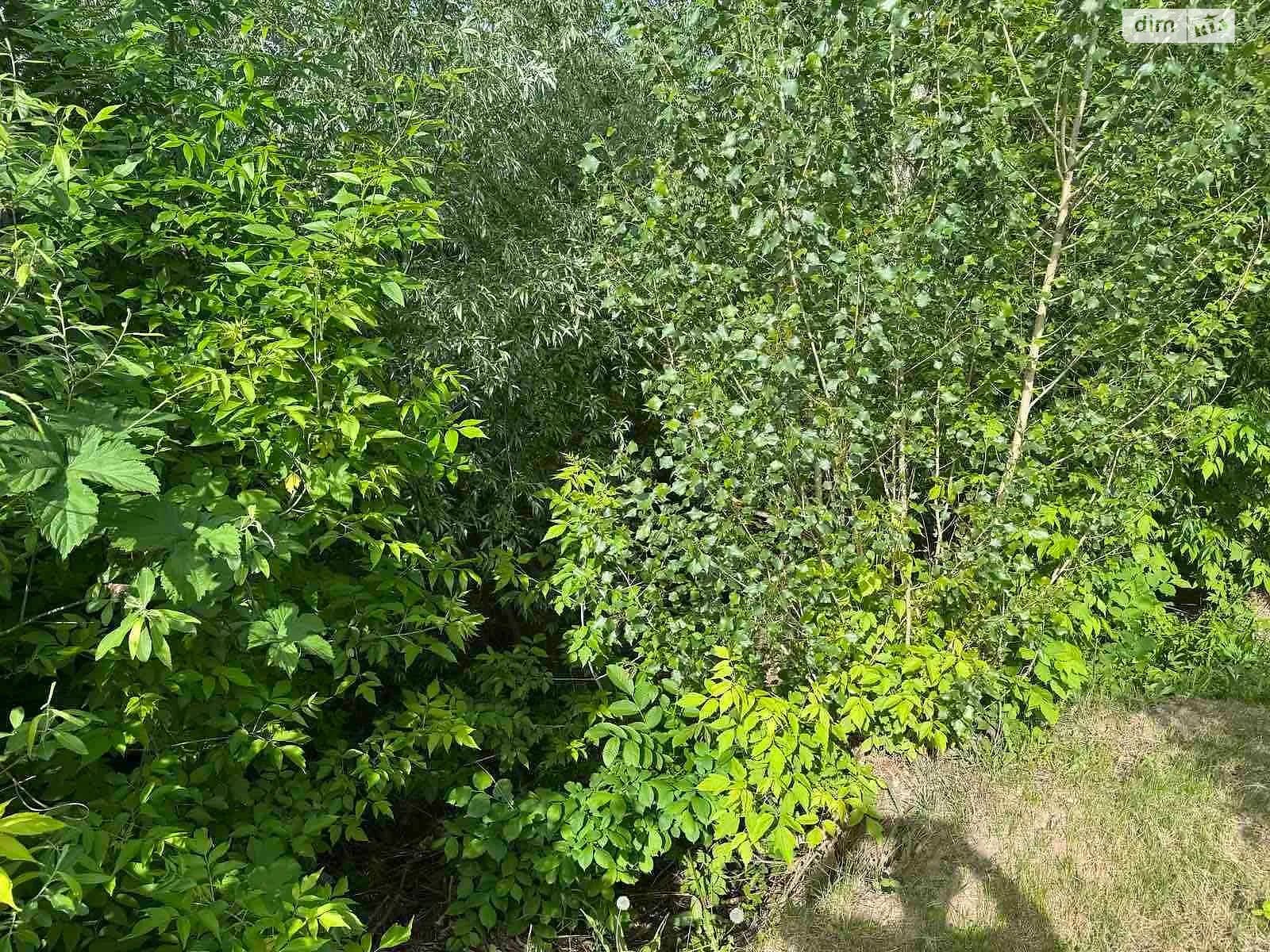 земельна ділянка, 37.9 м², Lubny