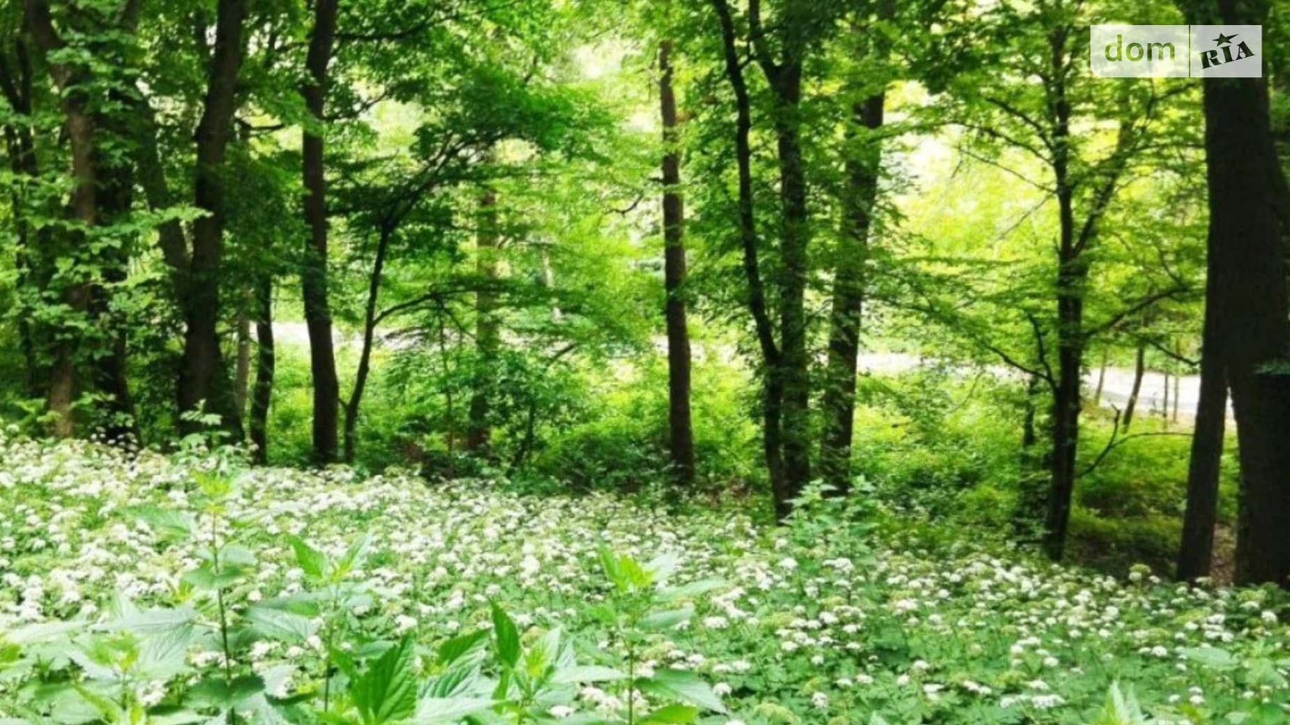 узвіз Лисогірський