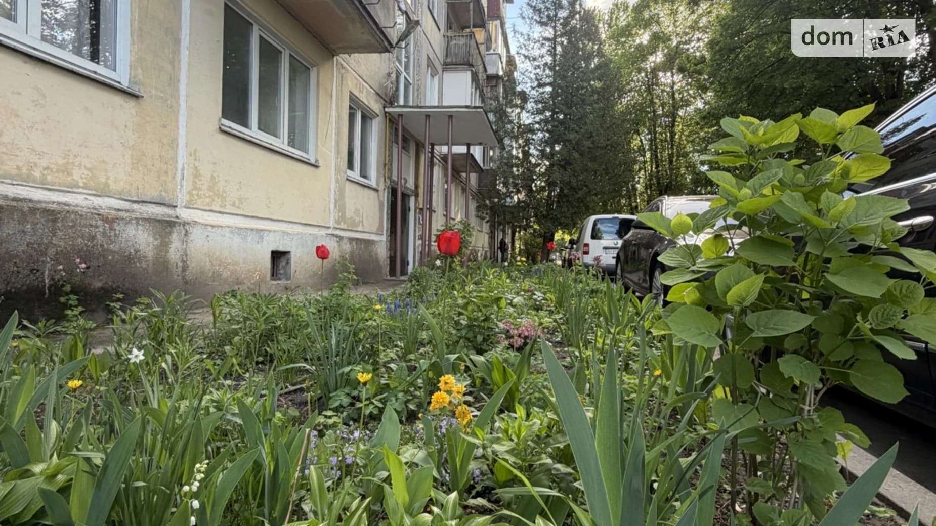 вул. Кривоноса Максима