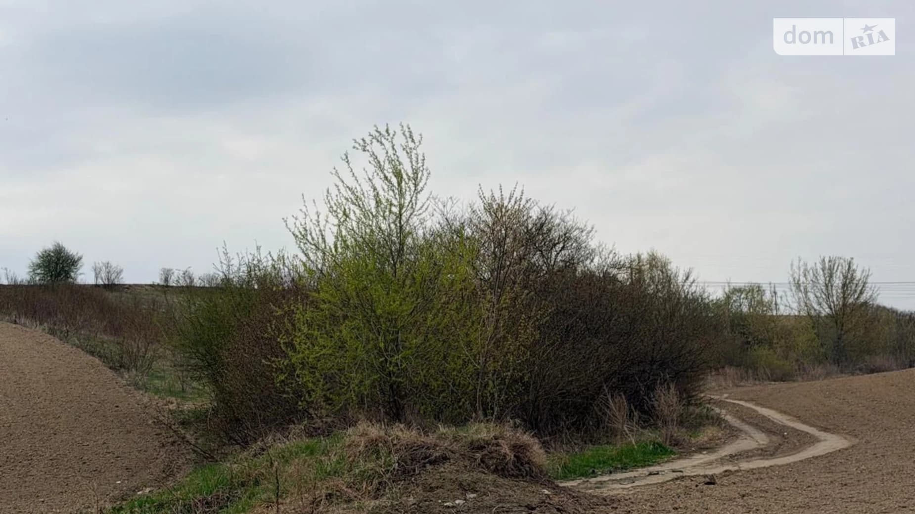 земельна ділянка, 264.4 м², Kostopil