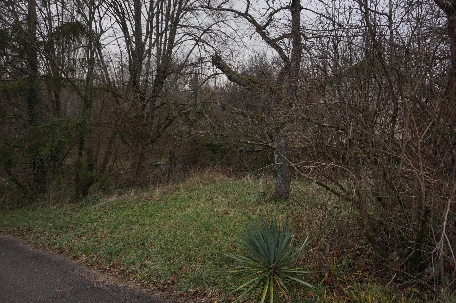 Terrain 790m² Besançon quartier calme