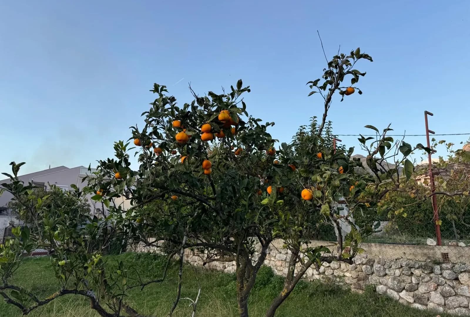 Prodaja, Zemljište, 5000m2, Čeluga, Bar