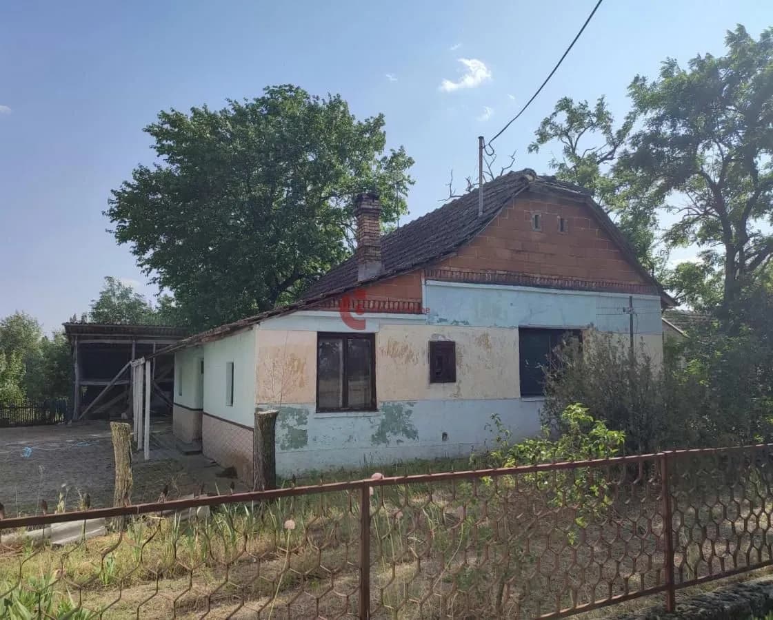 Kuća na Bačkim Vinogradima