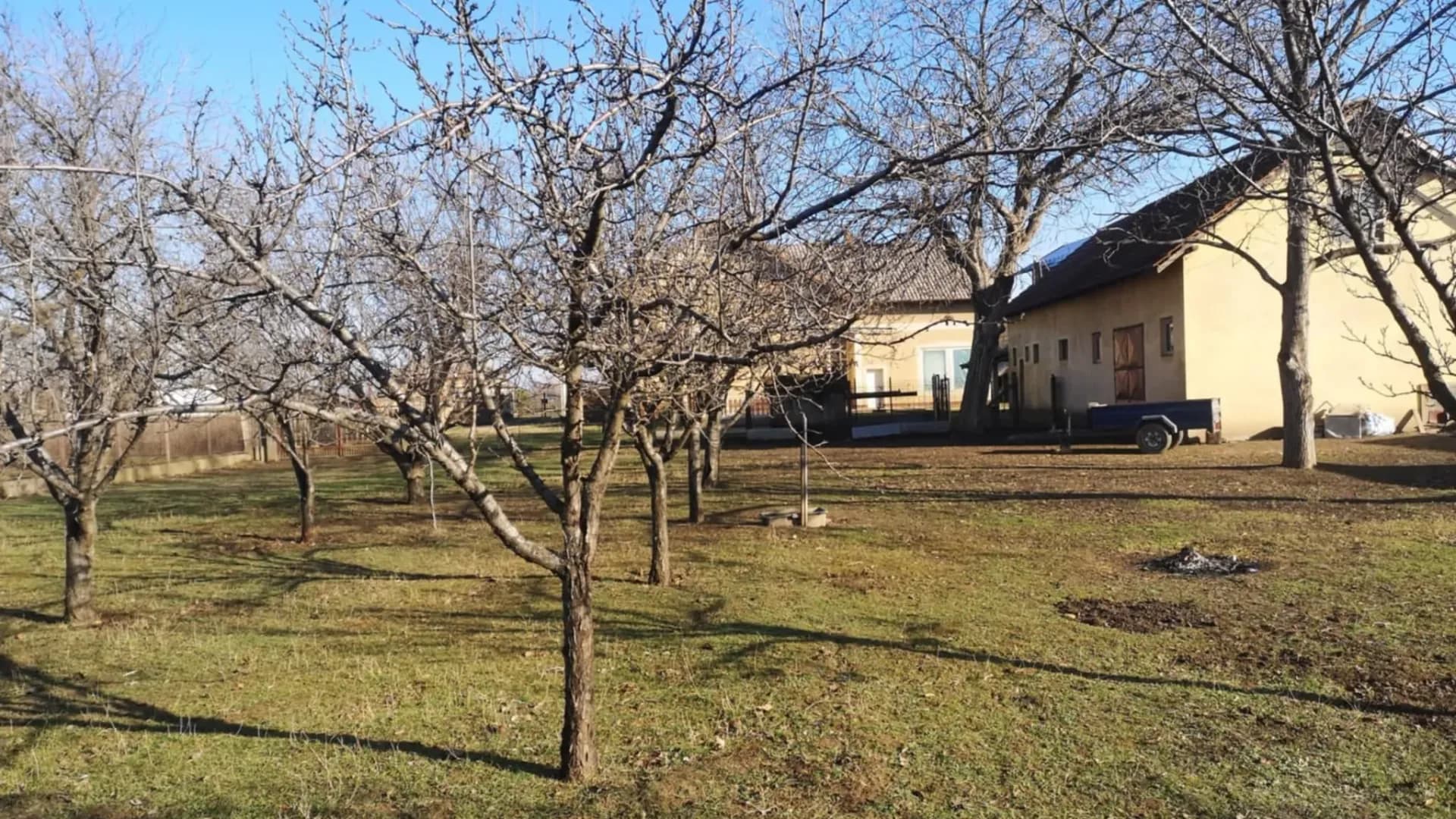 Prodaja, Kuća ili Vila, 300m2, Centar, Smederevo