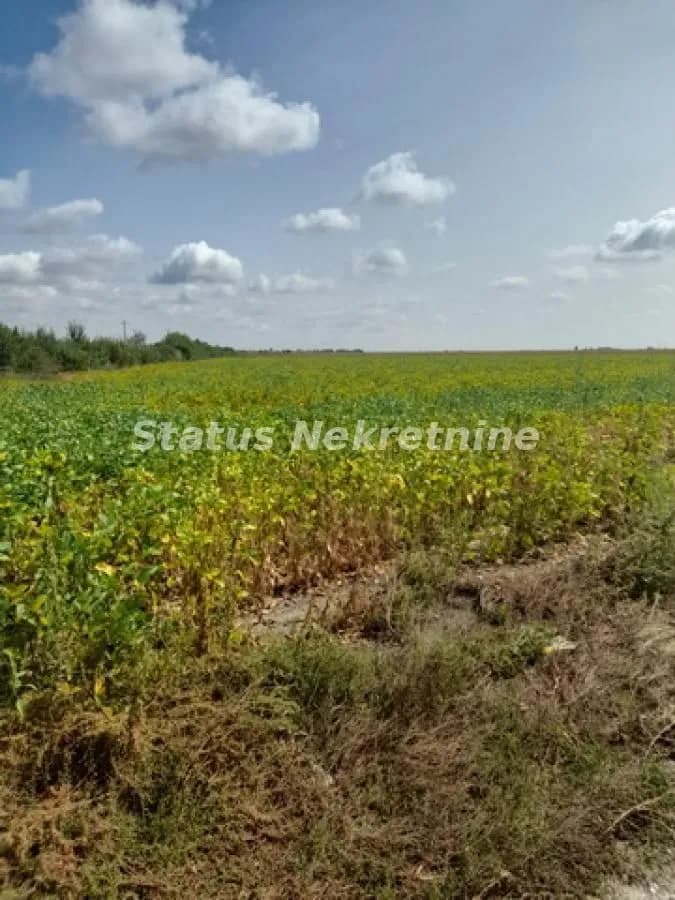 Sremska Mitrovica-Velika Parcela 34150 m2 u blizini Auto-Puta za Komercijalnu Delatnost-065/385 8880