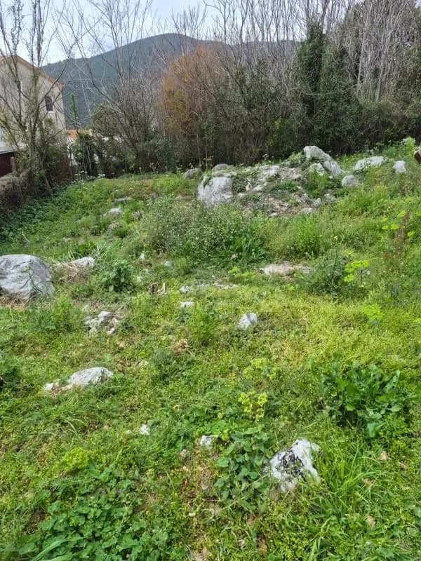 The land plot. Urbanized. Budva