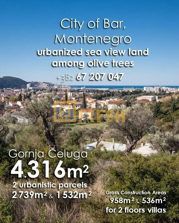 Urbanizovano zemljište 4316m2 pogled na more među stablima maslina