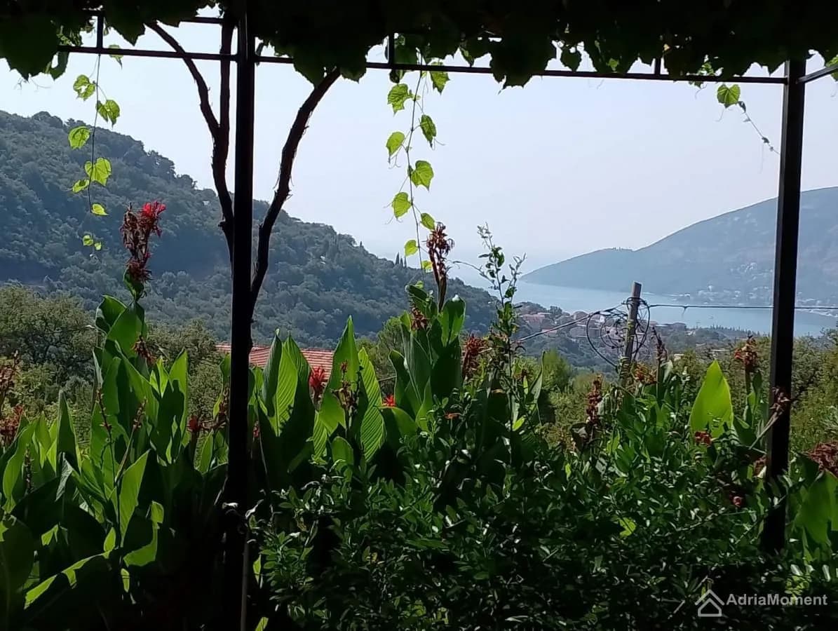 Legalizovana kuca u Moidezu, Herceg Novi