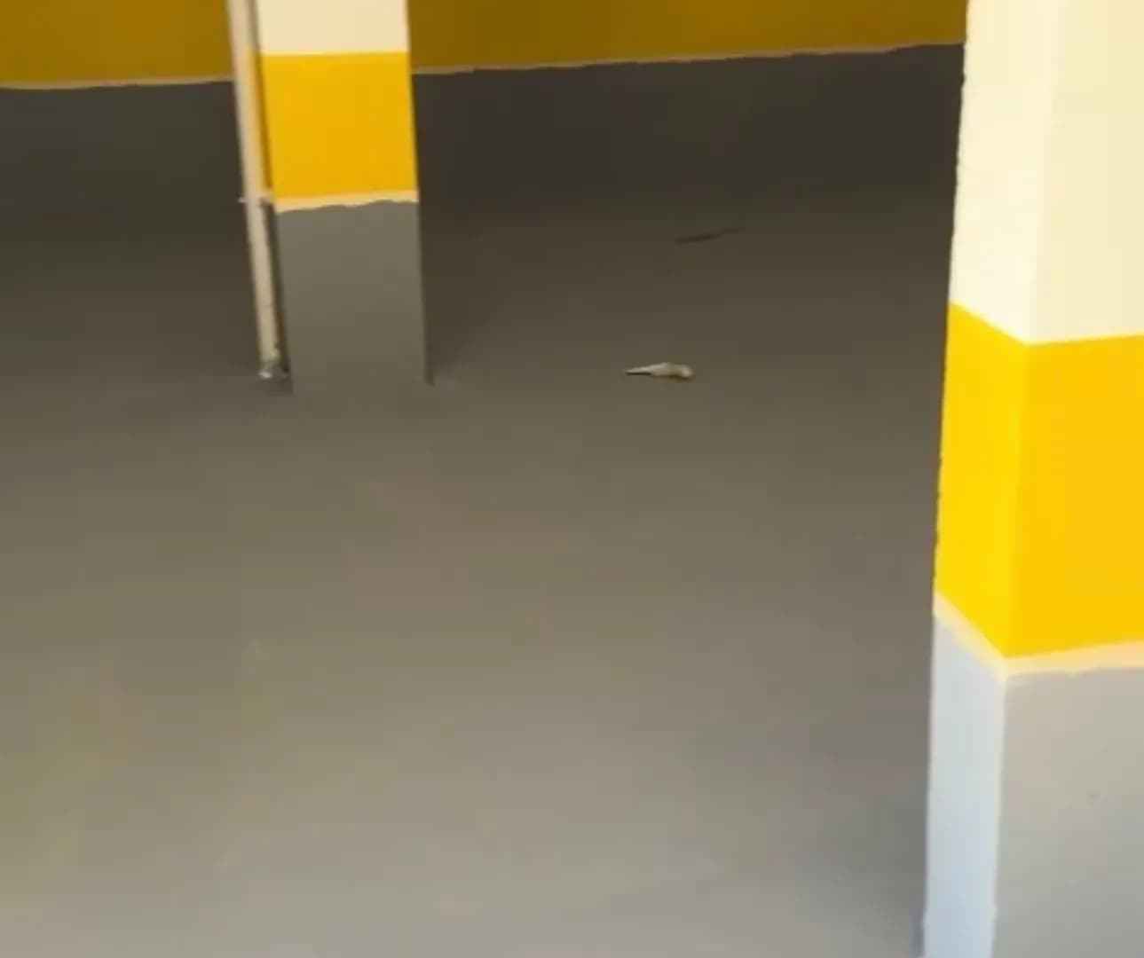 Prodaja, Parking/Garaža, 35m2, Pržno, Budva
