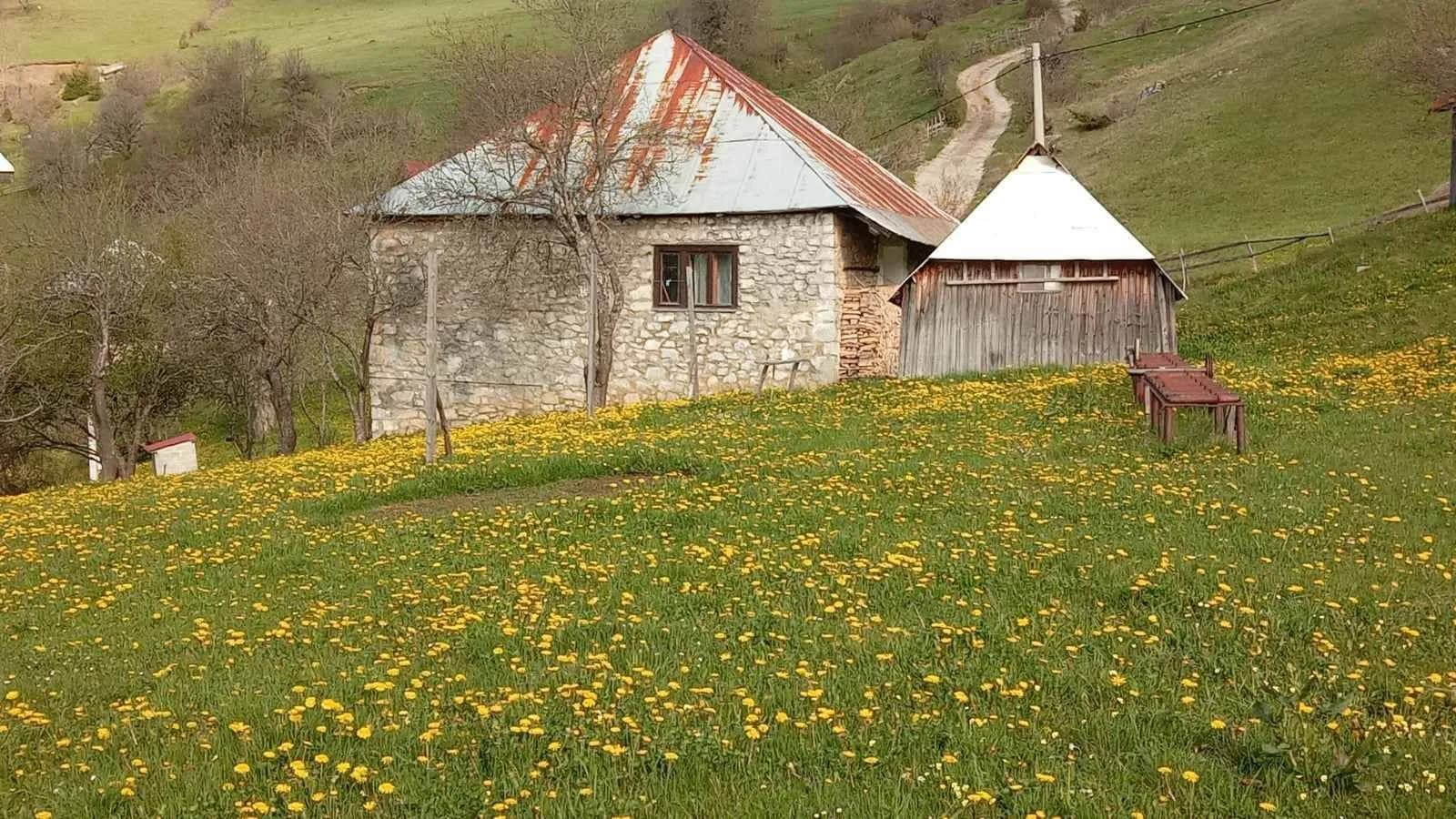 Kuca Bijelo Polje 199m2