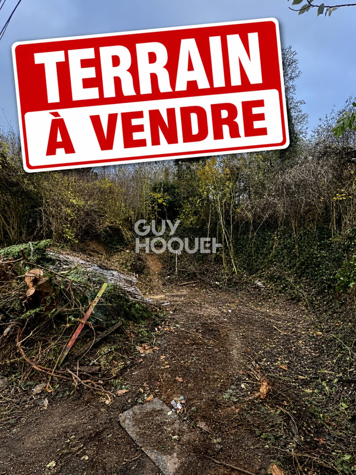 Terrain
