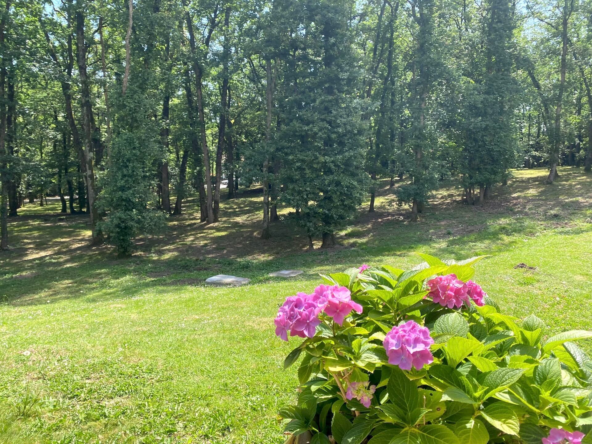 PROXIMITÉ IMMEDIATE COMMERCES- PROPRIÉTÉ - RARE- PARCELLE 12 000 M2