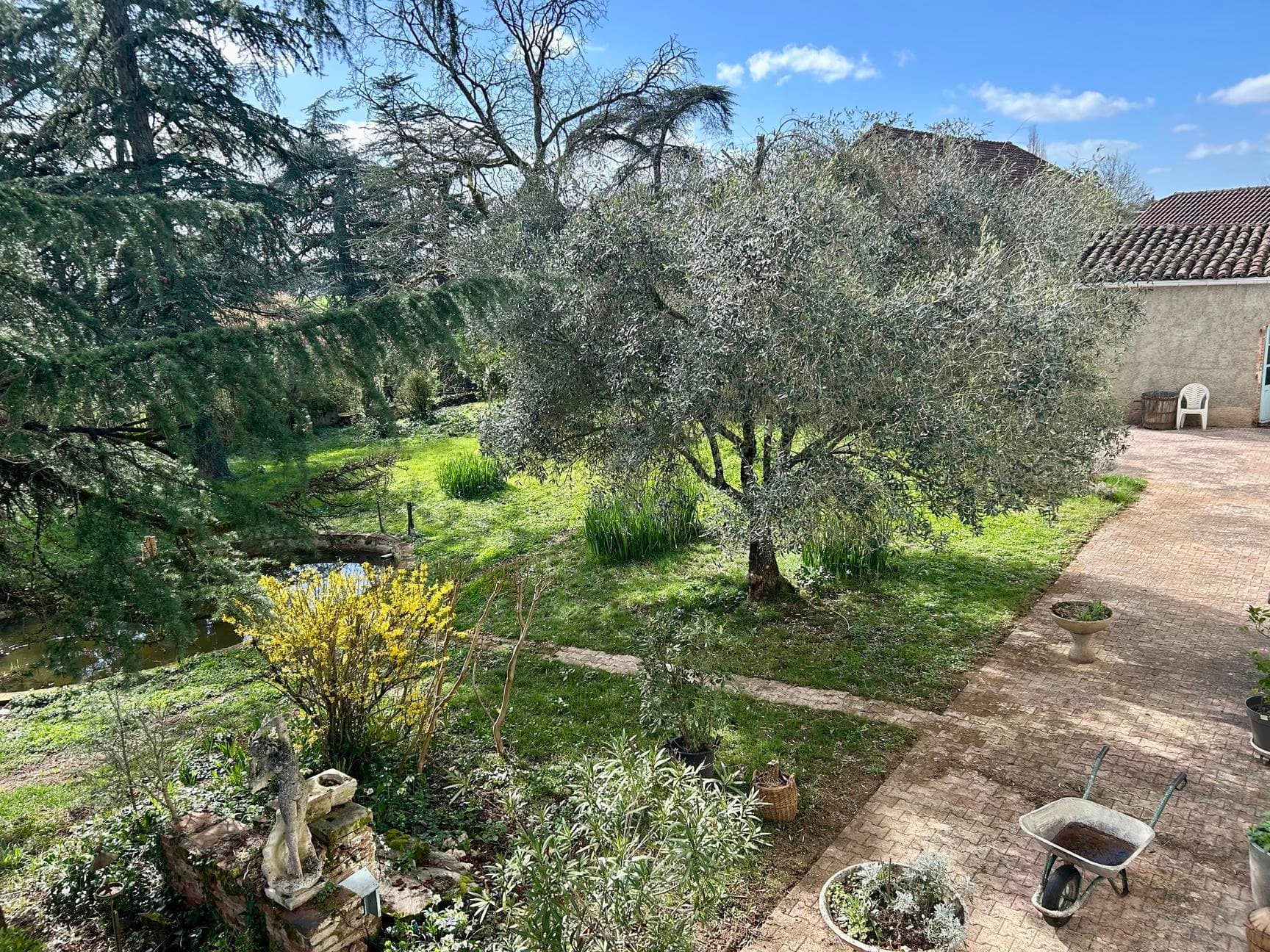 House 17 pièces 579m² Albi