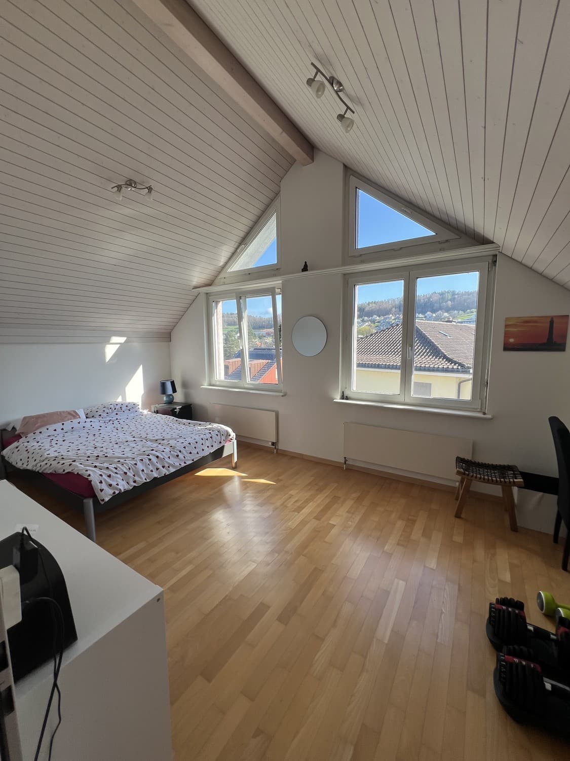 Möblierte 3.5-Zimmer-Dachwohnung zur Untermiete (ab Oktober 2026, mind. 9 Monate)