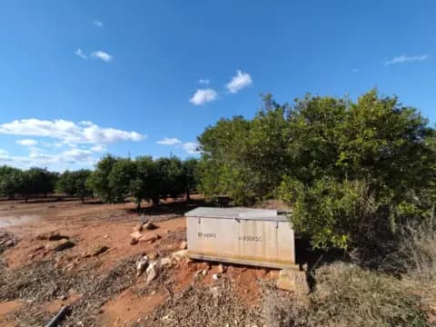 Terreno en calle Paraje Benadresa- Polig 92-Parc 15 y 16