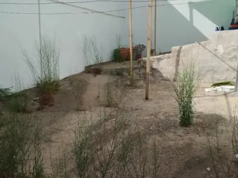 Casa en calle de los Piteles