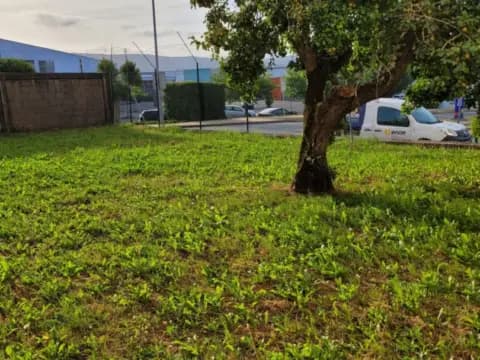 Terreno en Gandara