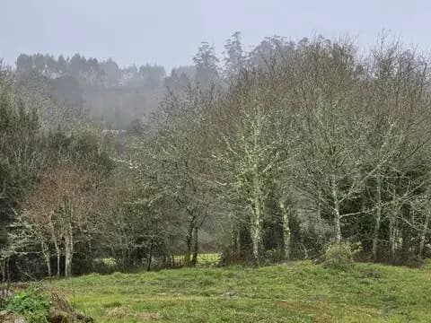 Chalet en Cerceda
