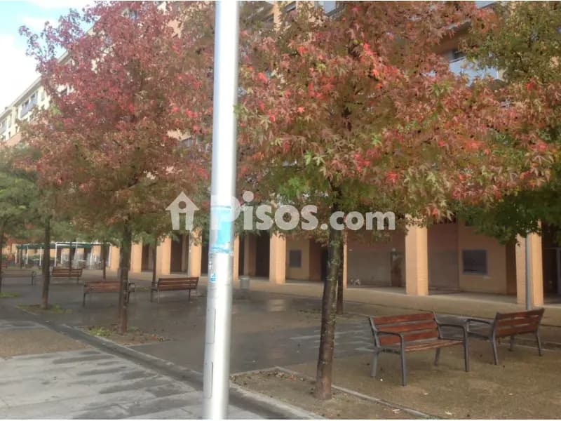 Local comercial en Paseo de Anelier