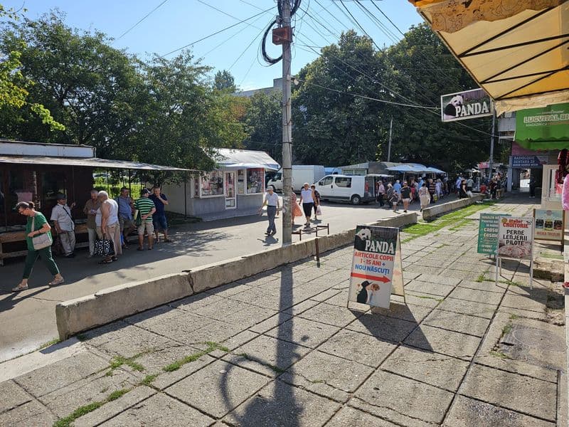 Vand 255 mp spațiu comercial, în micro 19 pe alea comertului