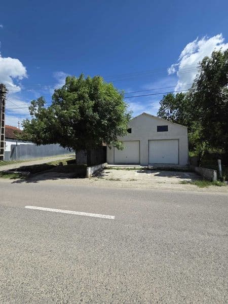 Spațiu comercial/rezidențial 120 mp stradal Cozieni (Trestia) jud. Buzau