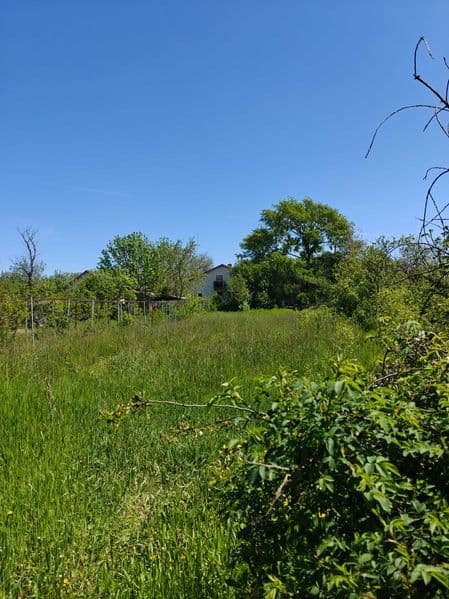 Casa 110 mp + Teren Intravilan 3.700 mp cu deschidere de 50m – Uliești, Dâmbovița | 5 min față de A1, 60 km București