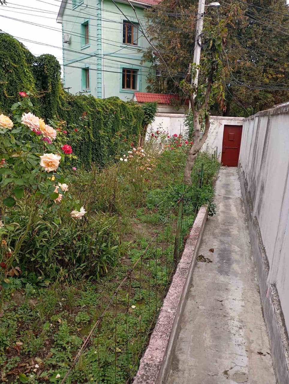 7 ari, Teren pentru construcții