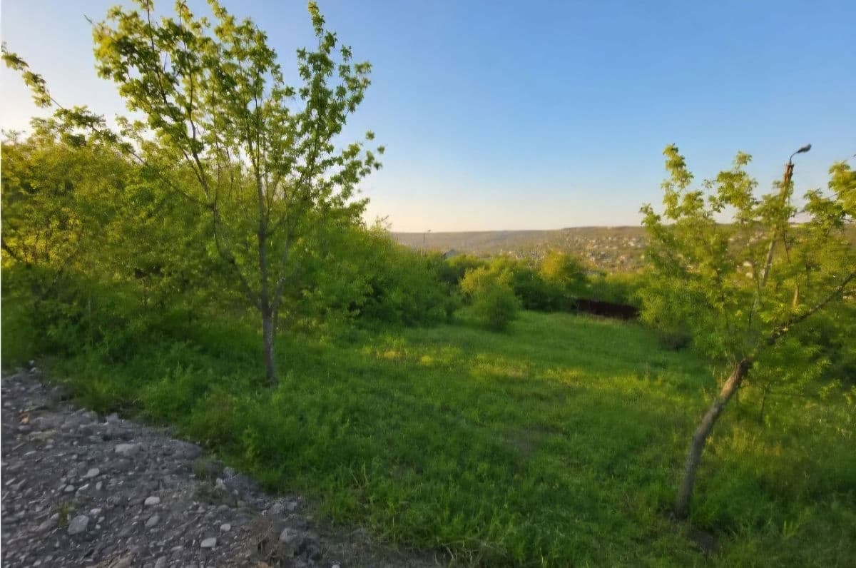 7 ari, teren grădină