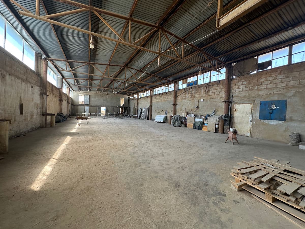 1160 m², spațiu universal