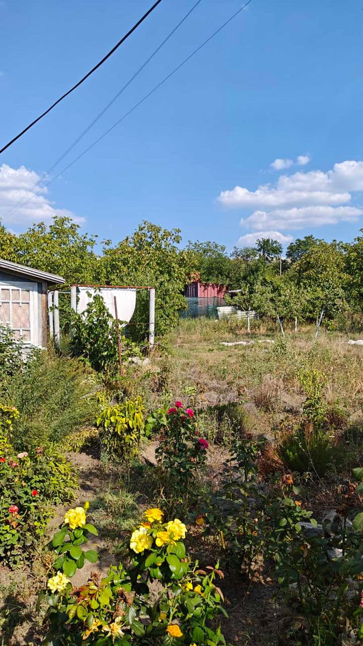 7 ari, Teren pentru construcții