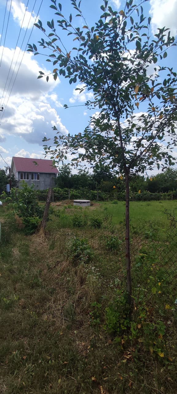 6 ari, teren pentru construcții