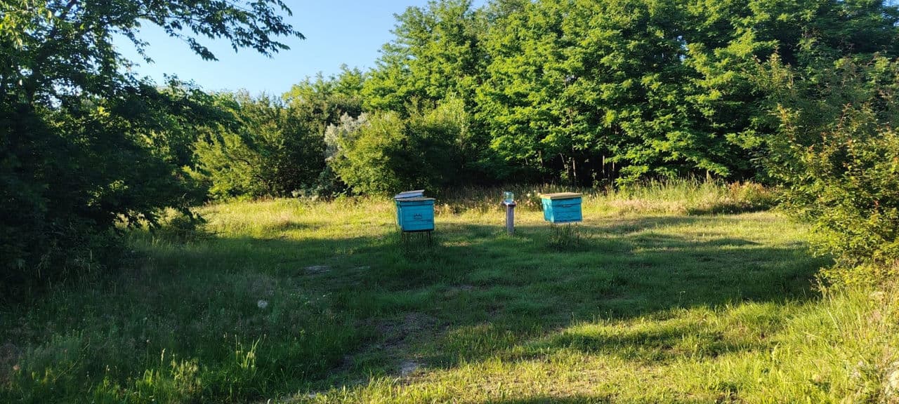 6 ari, teren pentru construcții