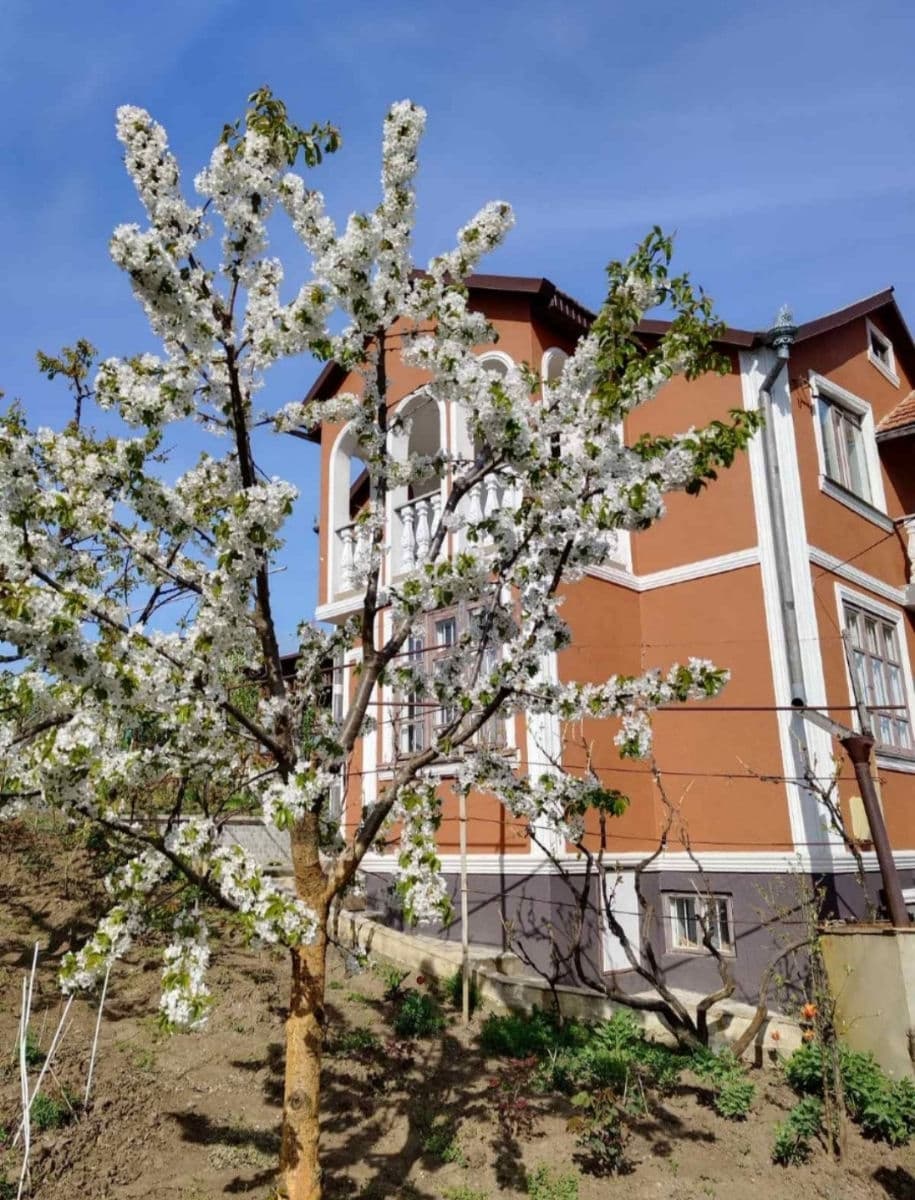 Casă 150 m² pe teren 5 ari
