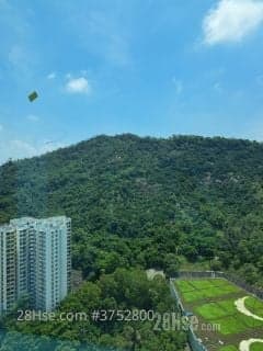 1 BR in > 10 Golden For affordable rentals and friendly bookings