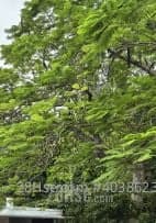 1 BR in > 7 16 Shek O Repulse Bay 16 Big Wave Bay Road | House Salea